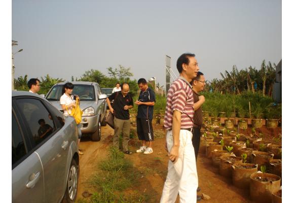 市领导到湛花种苗考察参观