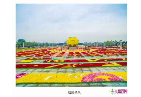 许昌积极申办2021年中国花卉界的“奥林匹克”