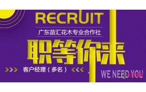 广东苗汇花木专业合作社招贤纳士