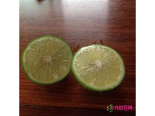 黄金柠檬