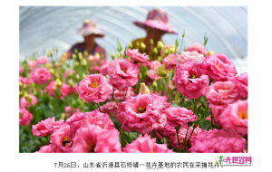 山东沂源：“出口经济”助深山农产品销海外