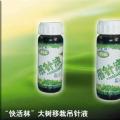 快活林——大树移栽吊针液