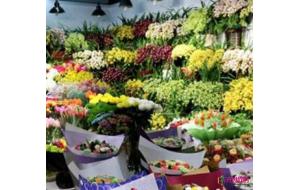 上海年宵花今年不涨价 节俭成风销量同比降两成 上海年宵花今年不涨价 节俭成风销量同比降两成