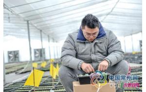 朱晓恬:7000元变200多万 常州90后把多肉玩出花样 朱晓恬:7000元变200多万 常州90后把多肉玩出花样