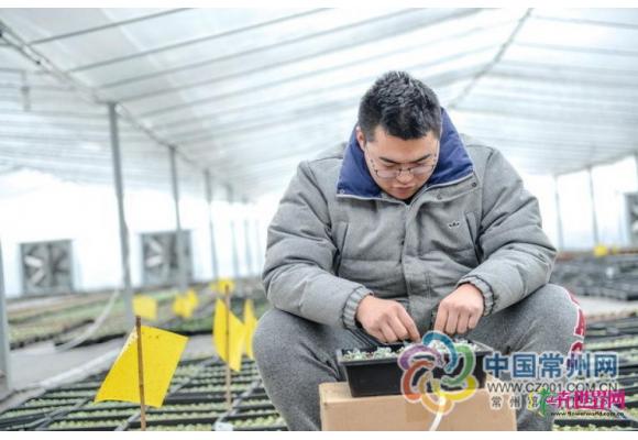 朱晓恬:7000元变200多万 常州90后把多肉玩出花样 朱晓恬:7000元变200多万 常州90后把多肉玩出花样