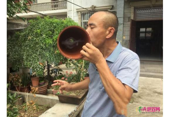 西安鄠邑:村民造出“会呼吸”的花盆 西安鄠邑:村民造出“会呼吸”的花盆