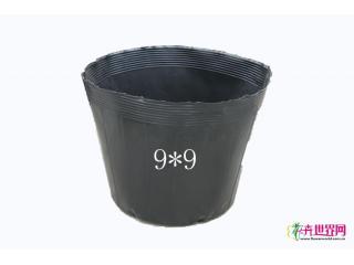 营养杯9*9
