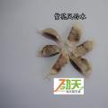 紫花风铃木