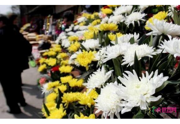 鲜花祭祀渐风行 鲜花销量好 鲜花祭祀渐风行 鲜花销量好
