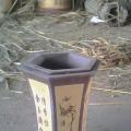 花盆