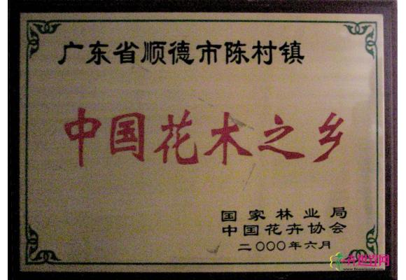 广东省顺德市陈村镇“中国花木之乡”