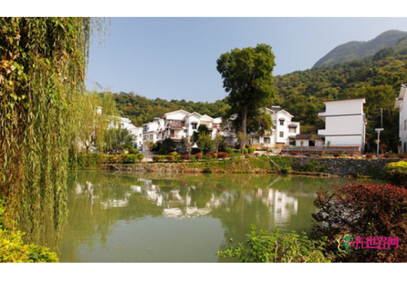 广西：黄岭村因地制宜 村屯绿化不止步