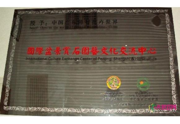 国际盆景赏石园艺文化交流中心