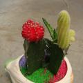 其它观叶植物