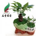小森林