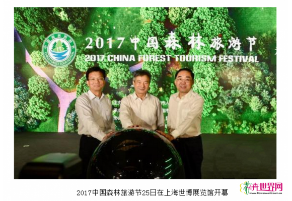 中国森林旅游年产值将突破亿万元