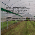 【厂家直销】蔬菜大棚--大棚--专业建设温室大棚--18988967562