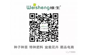 农业今年风口在哪？两会涉农十大热词公布……
