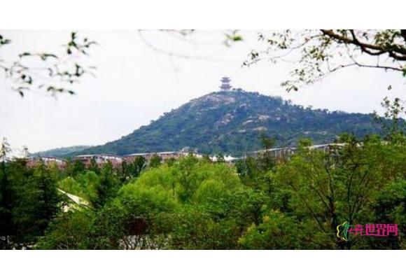 临沂临港区把经济发展引入绿色生态“快车道”