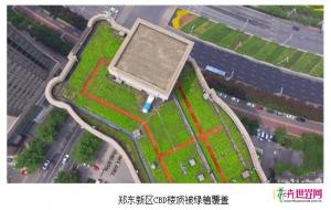 河南：郑州推广屋顶绿化 营造城市“空中花园”
