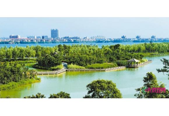 江西：南昌四面碧树三面水 一城香樟半城湖