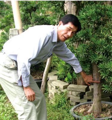 梁汉钊 ：文化花农