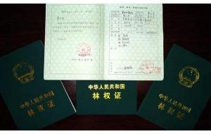 两部委发布通知进一步规范林权类不动产登记