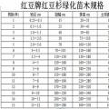 红豆杉价格（低）