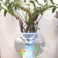 水培花瓶/水培花卉/鱼缸/玻璃花瓶/花篮/花瓶