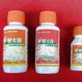 根太阳系列