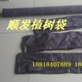包树布