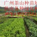 黄兰