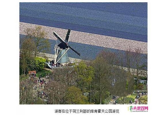 世界最大的郁金香公园——库肯霍夫公园【组图】 世界最大的郁金香公园——库肯霍夫公园【组图】