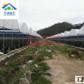 芳诚温室，大棚种植，产品繁多，深加工优化资源，建设温室大棚
