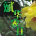 金花茶
