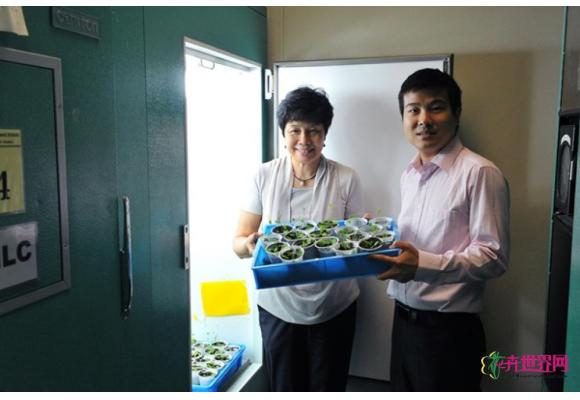 互助贷扶持绿色经济