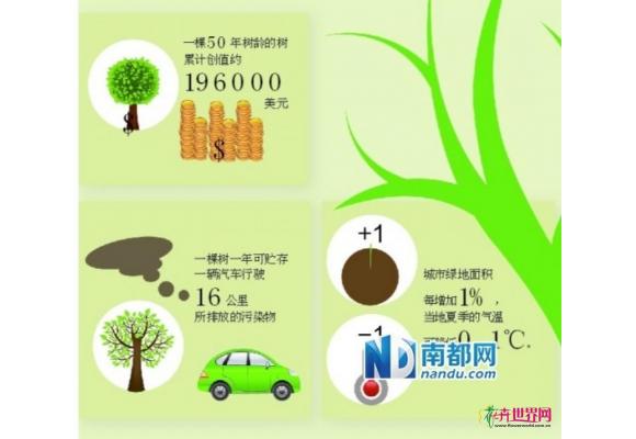 一棵树的生态效益逾19万美元