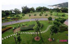 青海国土绿化创下四个“前所未有”