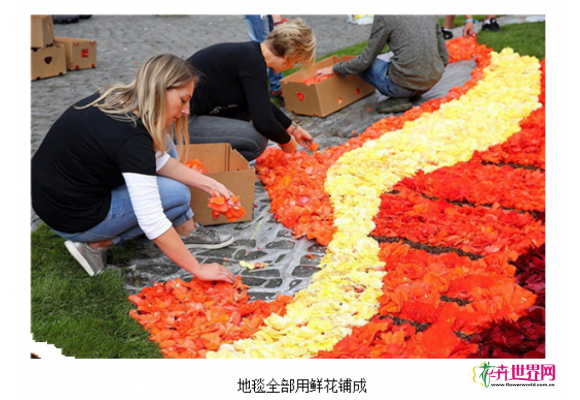 比利时“鲜花地毯”节 比利时“鲜花地毯”节