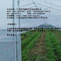 简易大棚，18年建设经验--18988967562