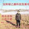 温室大棚骨架机镀塑钢管大棚