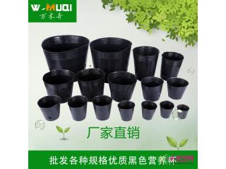 营养杯