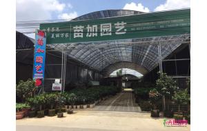 广州市加苗园艺招聘销售代表