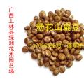 粉花山扁豆