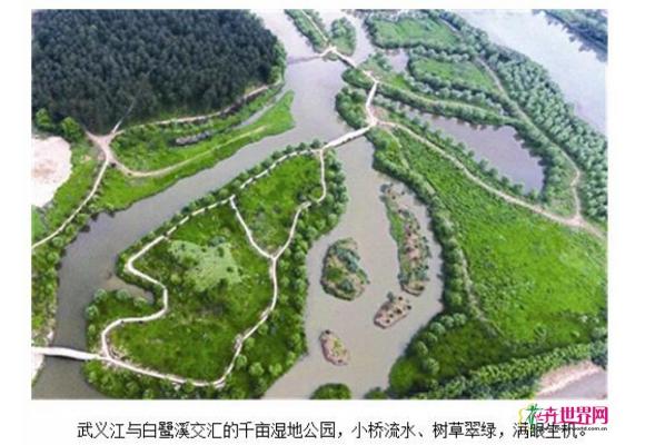 浙江武义：两村联建千亩生态湿地 打造最美河道