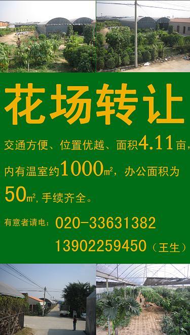 4.11亩花场转让