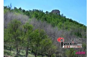 乌鲁木齐“树上山” 绿化提升雅山等9座荒山