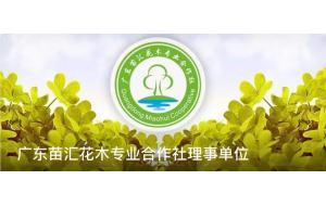 广东苗汇花木专业合作社理事单位