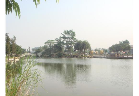 中国盆景大观园蓄势而发