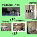喜树